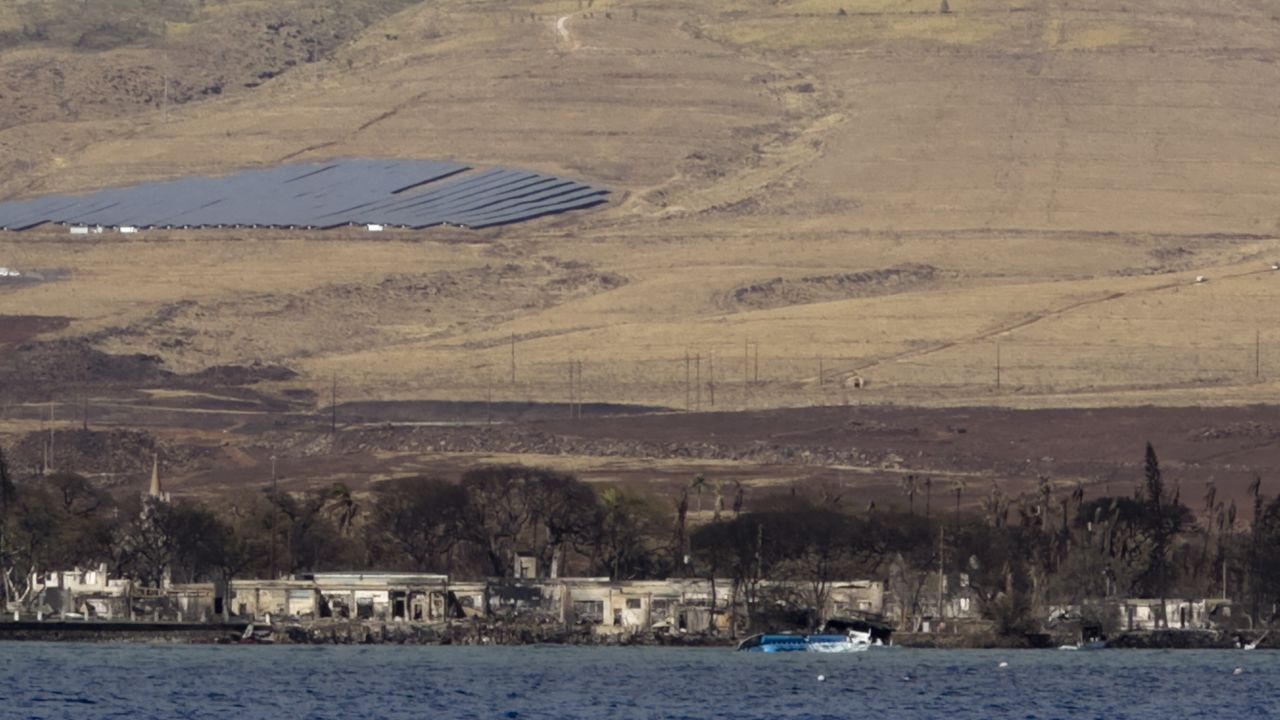 Lahaina, as seen from the Ocean Spirit. The US Coast Guard is still not allowing ships to get within one mile of the town.