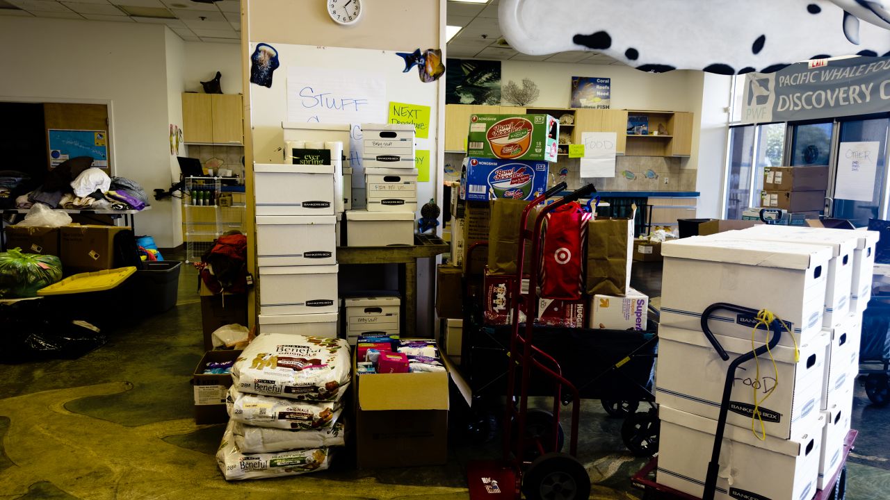 Inside the Pacific Whale Foundation classroom being utilized as a donation warehouse, as donations continue to come in.