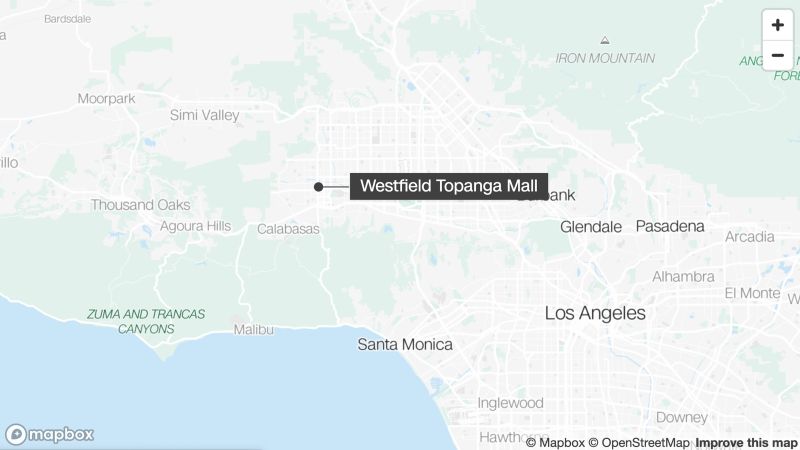 ‘Mob of criminals’ stole up to $100k worth of merchandise at Los Angeles mall, police say