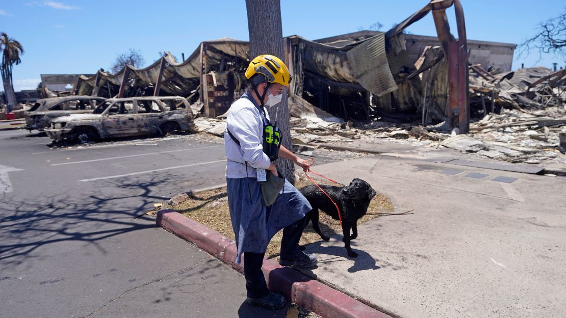 A member of a search and rescue team walks with her cadaver dog in Lahaina, Hawaii. 