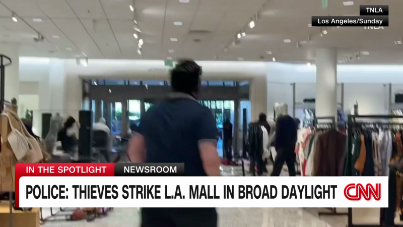 Police: "Mob of criminals" stole up to $100K worth of merchandise from Los Angeles mall in broad daylight