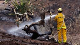 A Maui County firefighter fights flare-up fires in a canyon in Kula on Maui island, Hawaii, U.S., August 13, 2023.