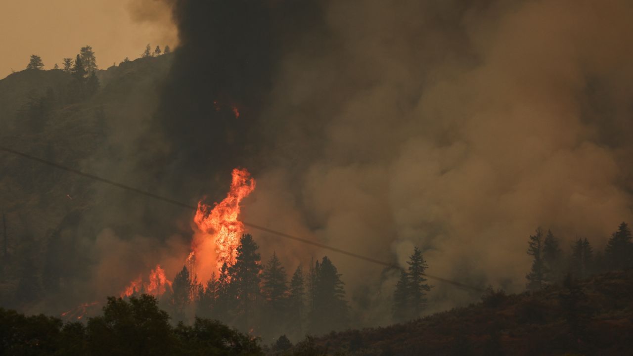 Trees catch fire during the Eagle Bluff wildfire after it crossed the Canada-US border from the state of Washington and prompted evacuation orders in British Columbia, Canada on July 30, 2023. 