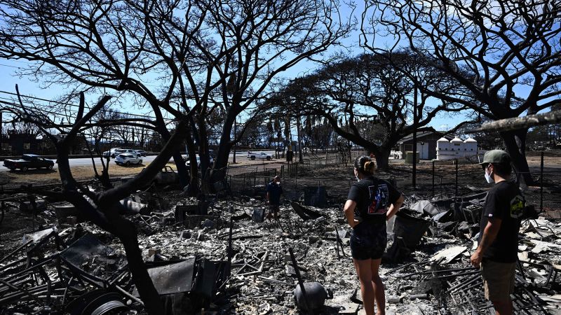 NextImg:Tourists lost their summer vacations. Maui's locals lost everything | CNN Business