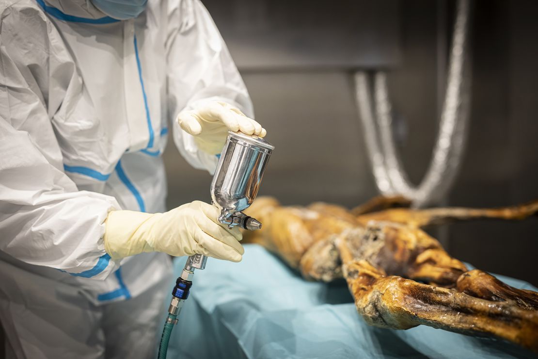 Ötzi the Iceman Gets a New Look from Genetic Analysis