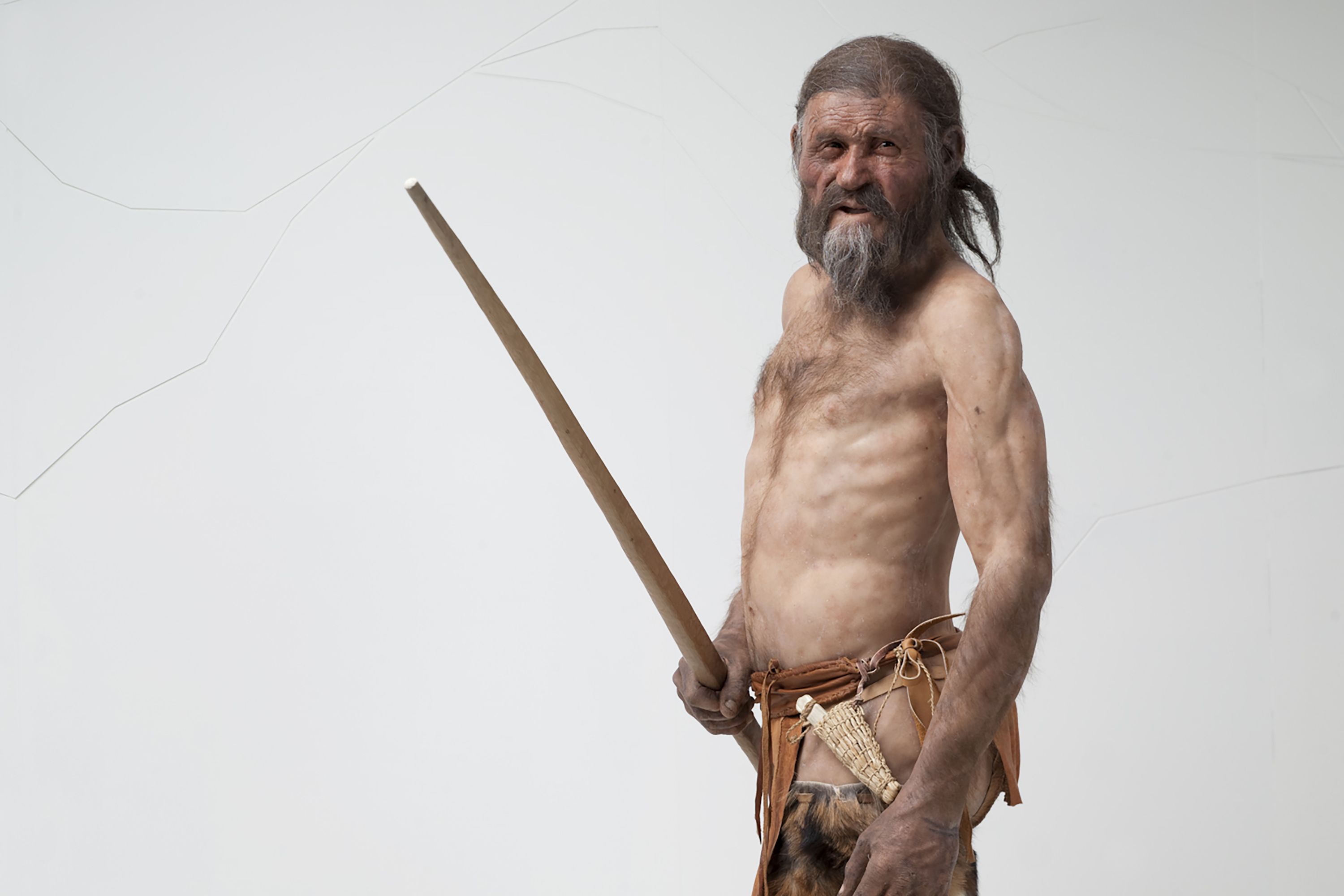 Famed 5,300-Year-Old Alps Iceman Was a Balding Middle-Aged Man