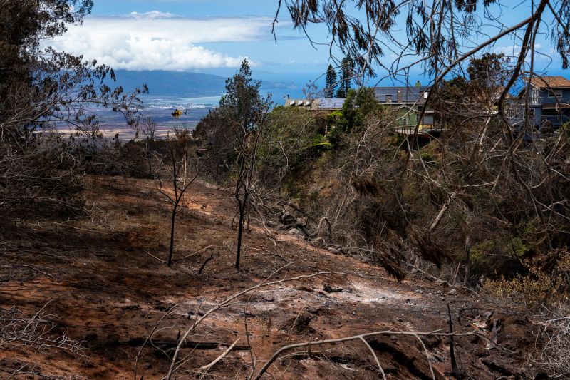 Maui Wildfires: Woman Says Her Husband Is 'broken' By Loss | CNN