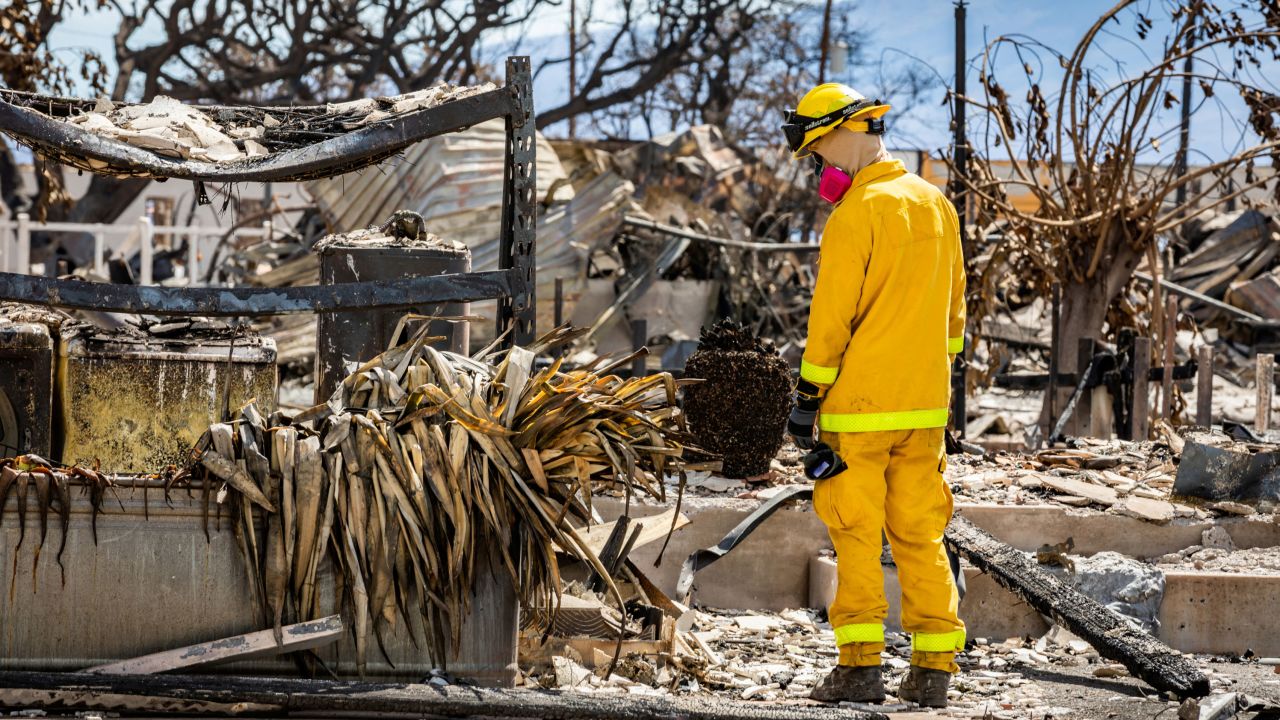 A search, rescue and recovery crew member works in Lahaina on Tuesday.