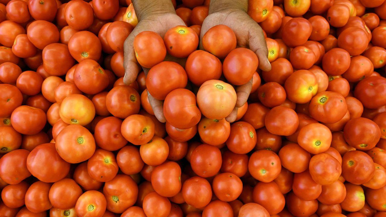 A vendor shows the quality of tomatoes at a vegetable market in Hyderabad on July 4, 2023