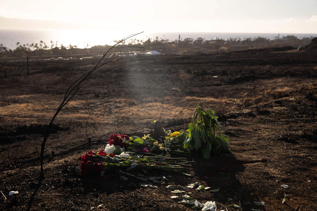 An offering of flowers is left on the ground following the Maui fires in Lahaina, West Maui, Hawaii, August 16, 2023. 