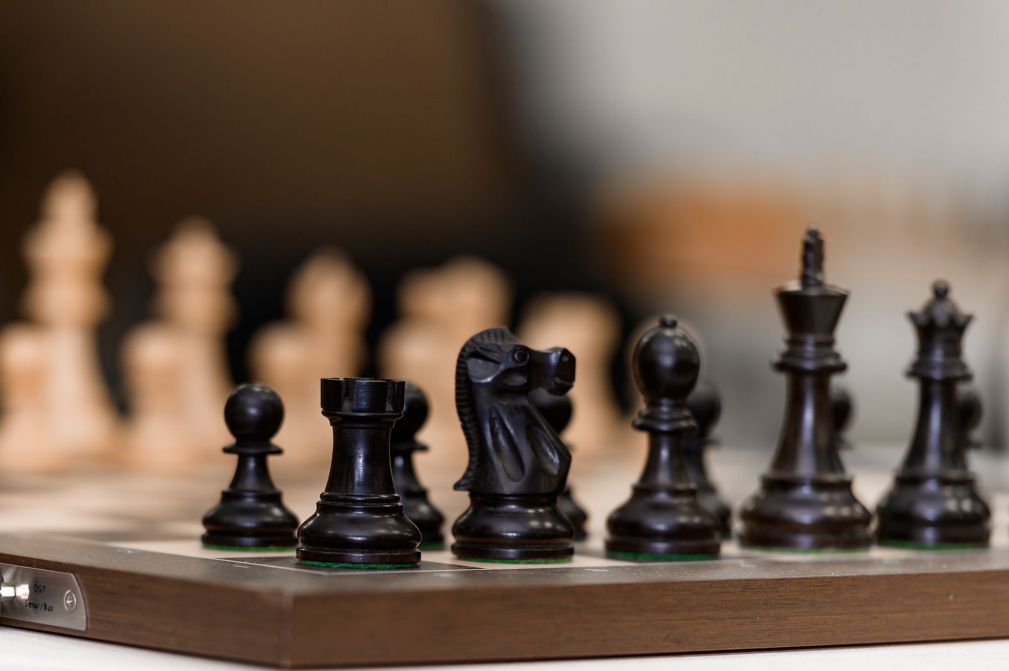 What gender gap in chess?