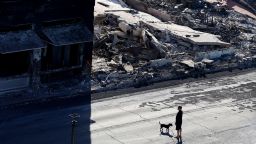 In an aerial view, a man stands with his dog as he looks at businesses that were destroyed by a wildfire on August 11, 2023 in Lahaina, Hawaii. Dozens of people were killed and thousands were displaced after a wind-driven wildfire devastated the town of Lahaina on Tuesday. Crews are continuing to search for missing people. 