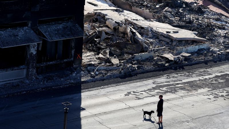 NextImg:Why Maui's rebuilding effort will be so expensive | CNN Business