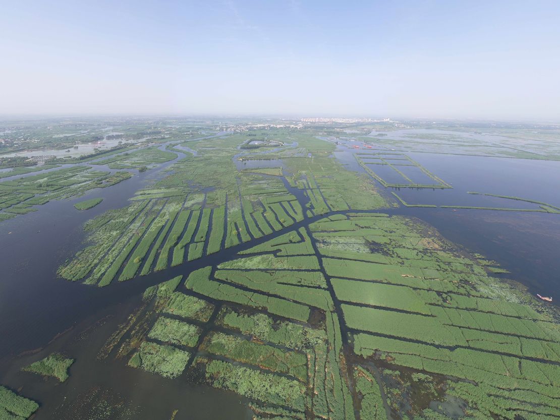 Located inside Xiong'an, the Baiyangdian Lake is the largest freshwater wetland in northern China.