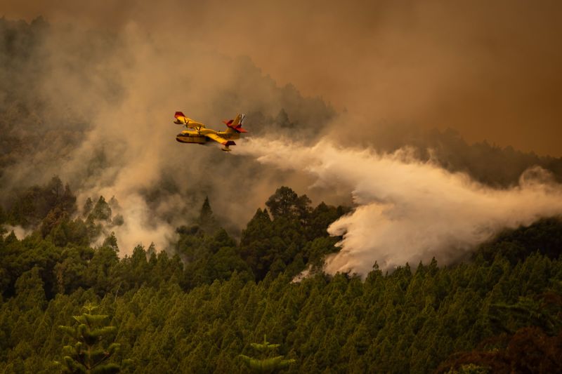 Tenerife Wildfire Thousands Evacuated As Fires Tear Through Spanish   230817190549 03 Tenerife Wildfires 081723 Restricted 