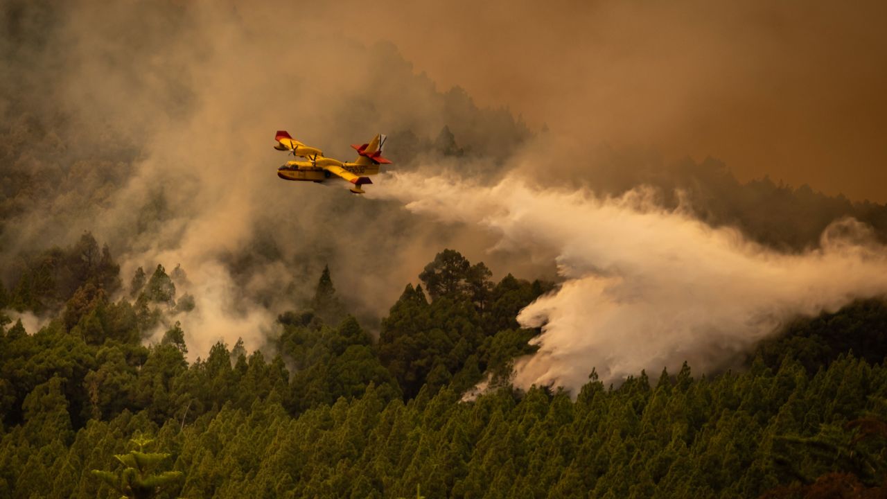 Повече от 370 служители и 17 противопожарни самолета са изпратени за овладяване на пожара.