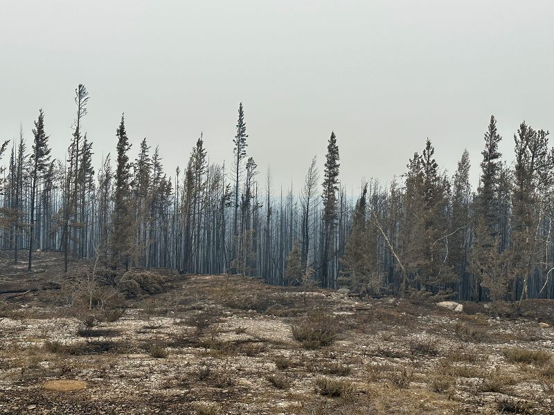 Deadly Washington State Gray Fire Continues to Grow, Hindering Firefighting Efforts