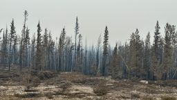 Damage from the wildfires is shown on Tuesday, Aug. 15, 2023 between Enterprise and Kakisa, Northwest Territories, Canada.