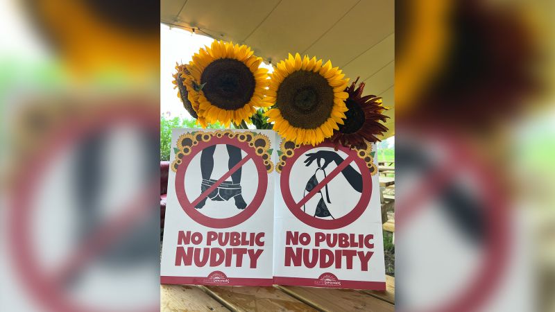 Visitors to sunflower fields urged to stop posing naked for photo shoots