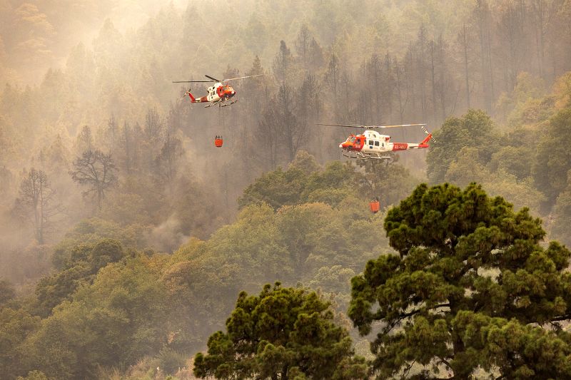 The Devastating Wildfires In Tenerife Force Thousands To Evacuate