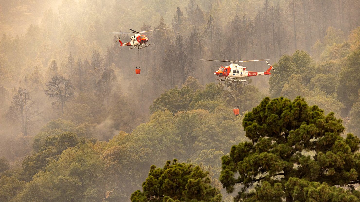 Hydroplanes work on extinguishing forest fire on Saturday in La Orotava, Tenerife, Canary Islands, Spain. 