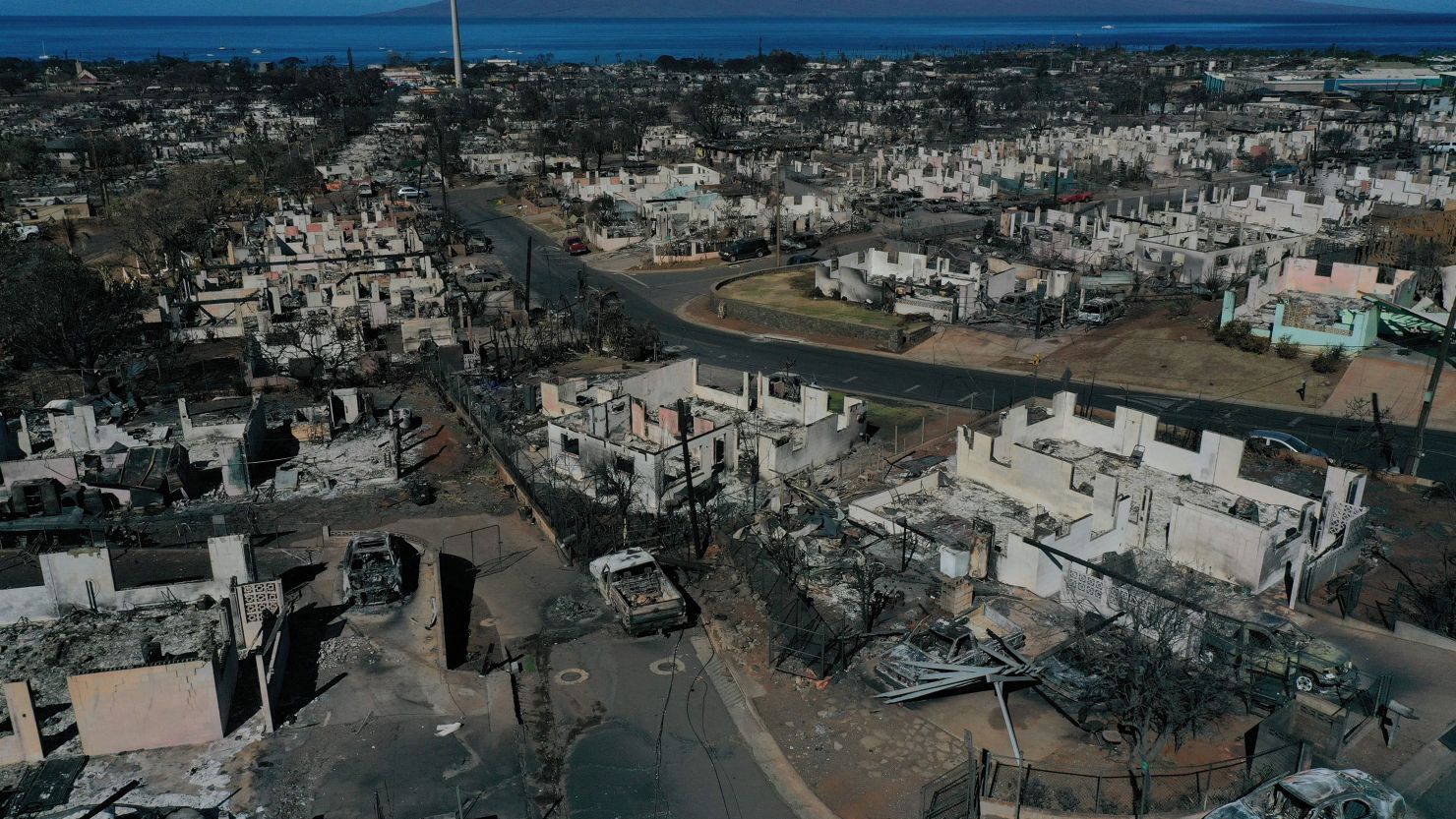 An aerial image shows destroyed homes and vehicles on August 17 after a wind-driven wildfire burned through Lahaina, Hawaii.