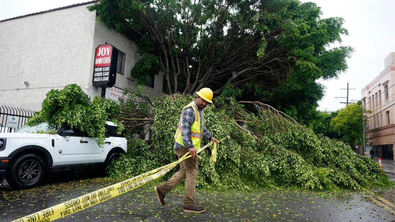 A worker drags caution tape to block off Pico Boulevard after a tree fell, Sunday, Aug. 20, 2023, in Los Angeles. 
