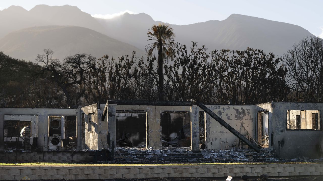 A palm tree stands behind a home destroyed in a wildfire in Lahaina, Hawaii, Friday, Aug. 18, 2023. 