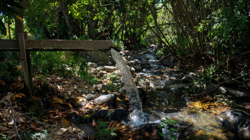 „Катастрофичен капитализъм в най-добрия му вид“: Битките за вода сред овъглените руини на западен Мауи разпалват нови страхове