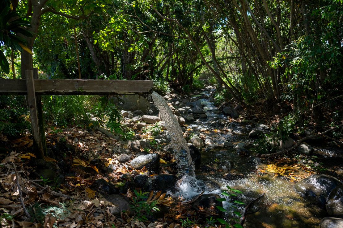 A rushing canal is seen on Hokuao Pelligrino's family farm in Wailuku on Maui on August 20, 2023.