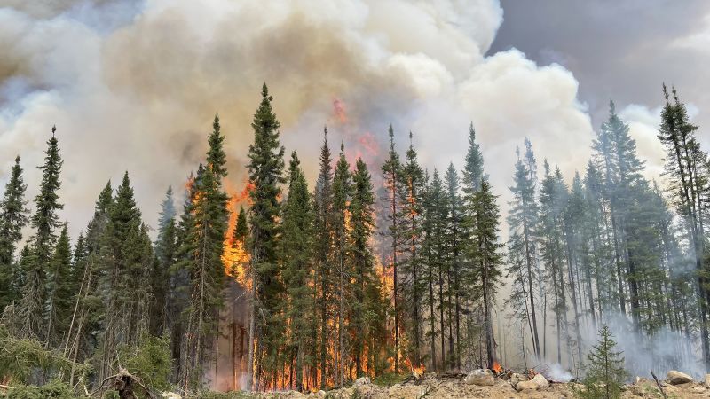 Метеорологичните условия които разпалиха горски пожари в източна Канада по
