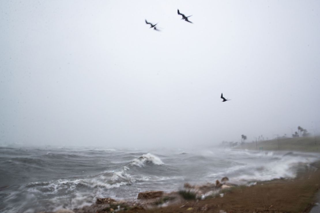 Birds hover over Corpus Christi Bay during Tropical Storm Harold on Tuesday morning.