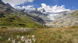 Mandatory Credit: Photo by Adelheid Nothegger/imageBROKER/Shutterstock (13958398p)
Mountain landscape with woolly grass in front of Schlatenkees glacier, glacier cut, black wall at the back and Hohe Zaun, Hohe Tauern National Park, Tauern Valley, East Tyrol, Austria
Various 23agbabbaa