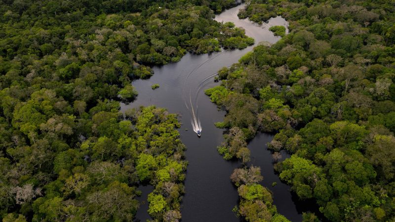 NextImg:Parts of tropical rainforests could get too hot for photosynthesis, study suggests | CNN