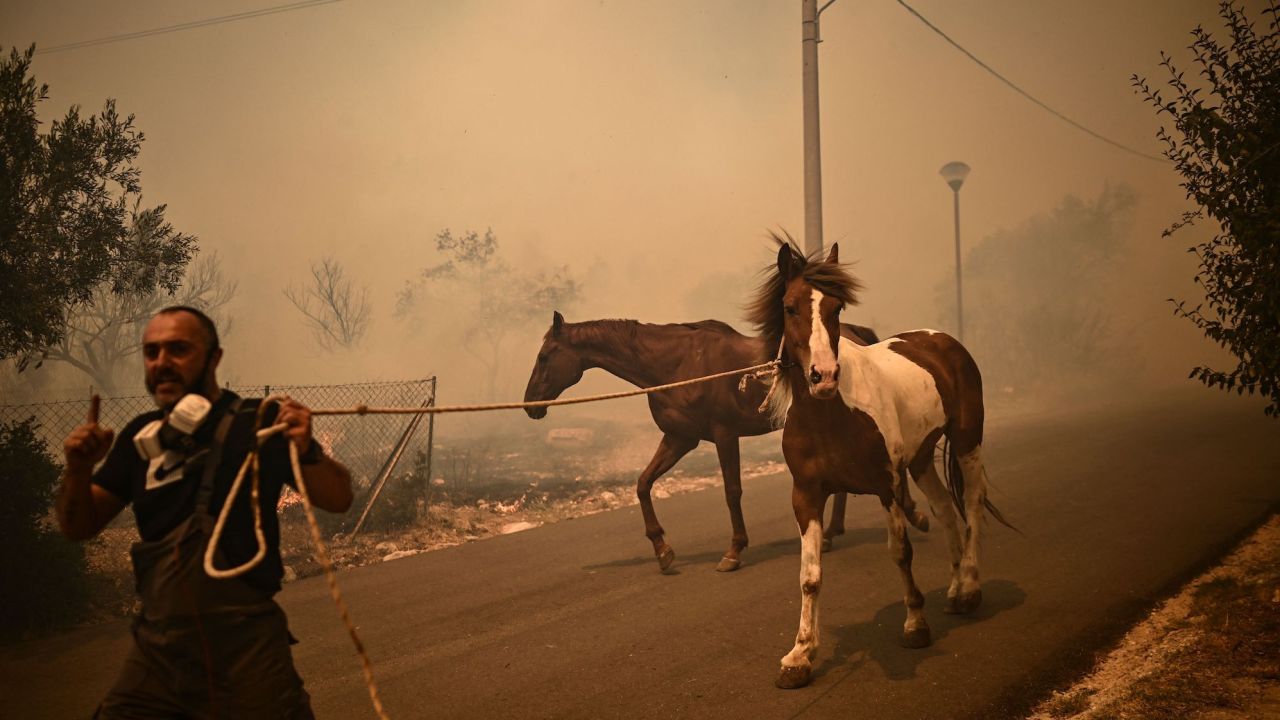 A man evacuates horses during a wildfire in Chasia, on the outskirts of Athens on August 22, 2023. 