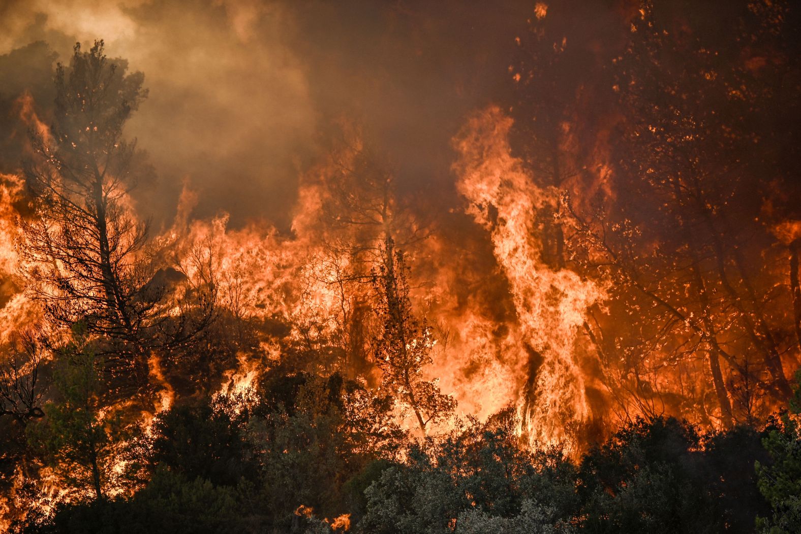 Vegetation burns near Prodromos on August 21.