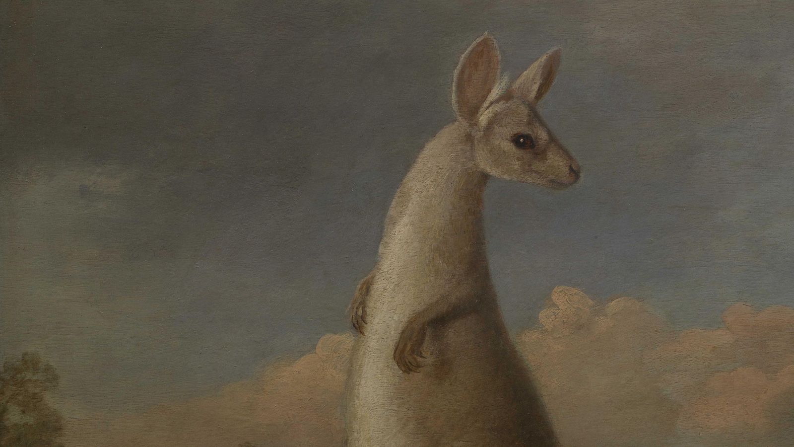 Why The First European Paintings Of Australian Animals Look So Alien To Our  Eyes | Cnn