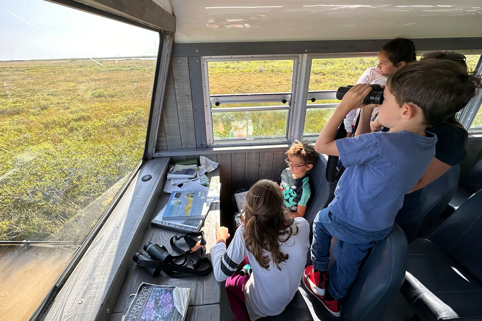 Bring your binoculars! Young Tundra Buggy passengers with Frontier North Adventures scout for wildlife during a stop in the Churchill Wildlife Management Area.