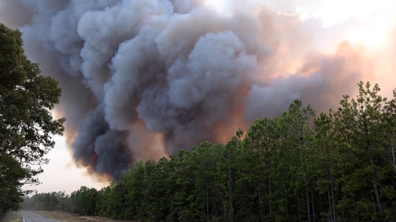 De la fumée provenant d'un incendie de forêt est observée dans la paroisse de Beauregard, en Louisiane, le 24 août.