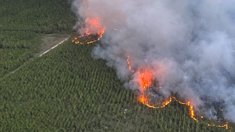 Горски пожари принуждават град югозападна Луизиана да се евакуира на фона на екстремна суша