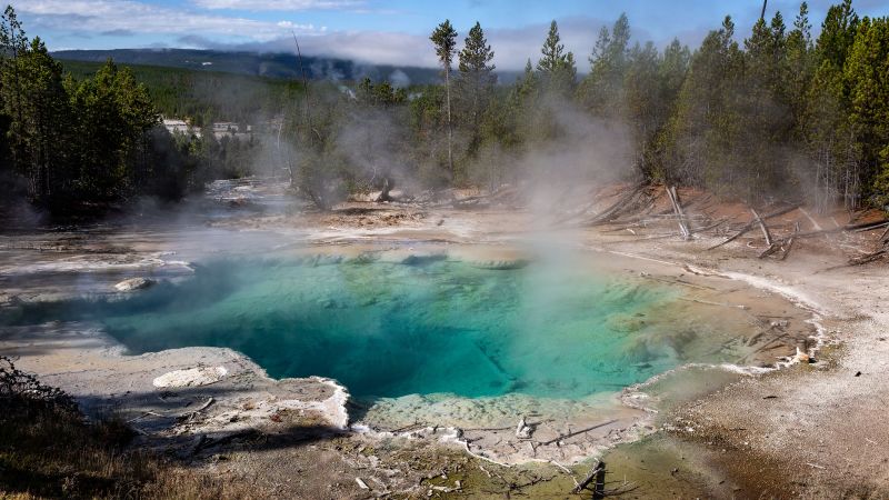 Michigan man banned from Yellowstone National Park and facing federal ...