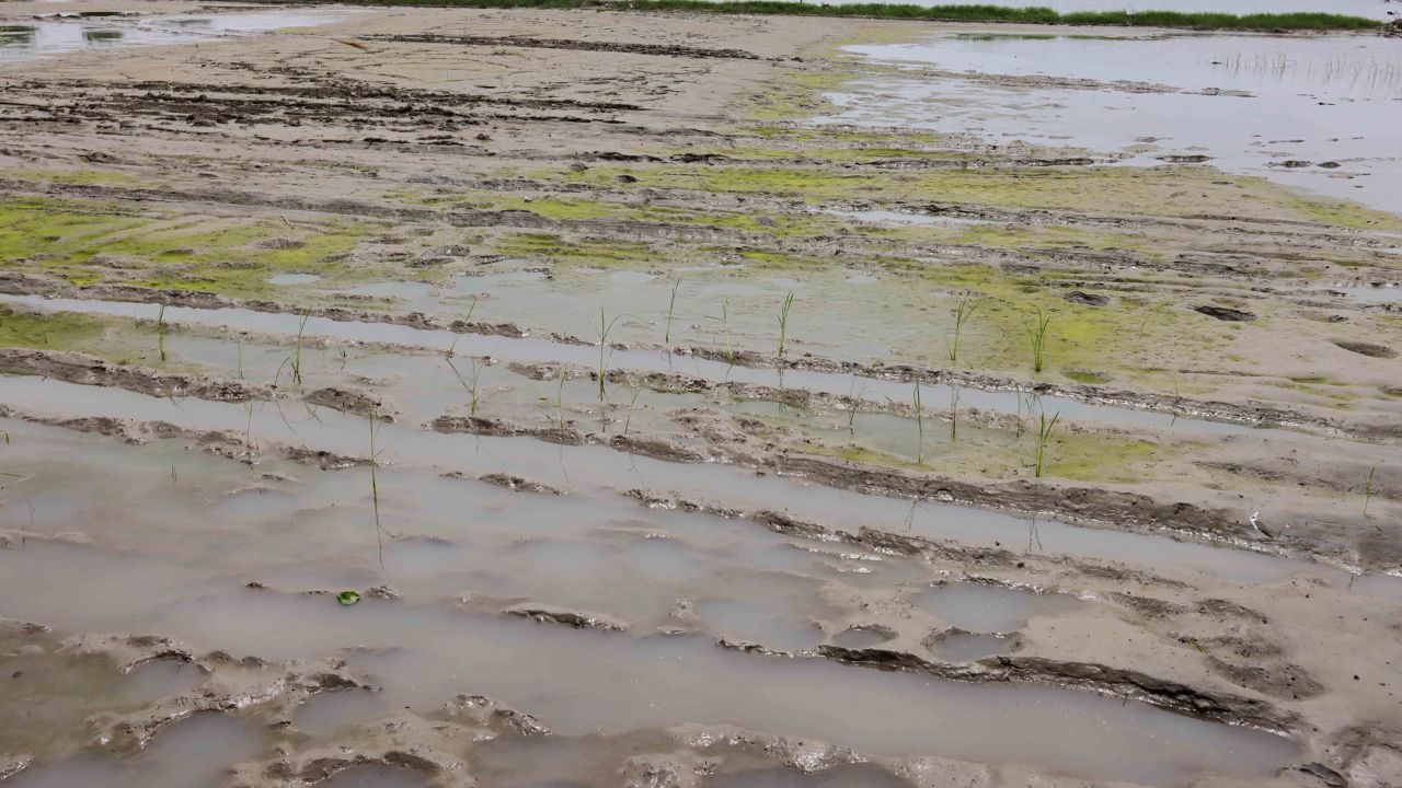 The heavy floods have affected the country's farmers. 