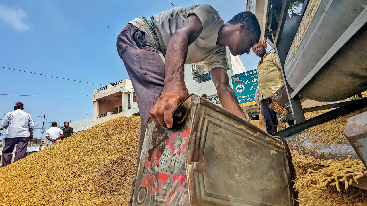 Trabajadores de la India tamizan granos de arroz en la capital, Nueva Delhi.