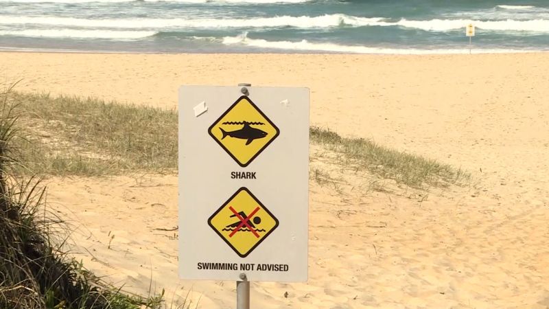 Сърфист се бори за живота си след нападение от акула в Австралия