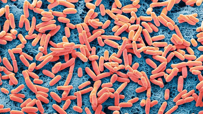 NextImg:Boil water advisory for parts of San Diego due to E. Coli | CNN