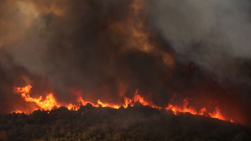 Greek police arrest dozens for arson as EU’s largest-ever wildfires rage | CNN