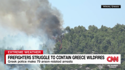 exp Greek wildfires giokos lok 082502PSEG2 cnni world_00002001.png