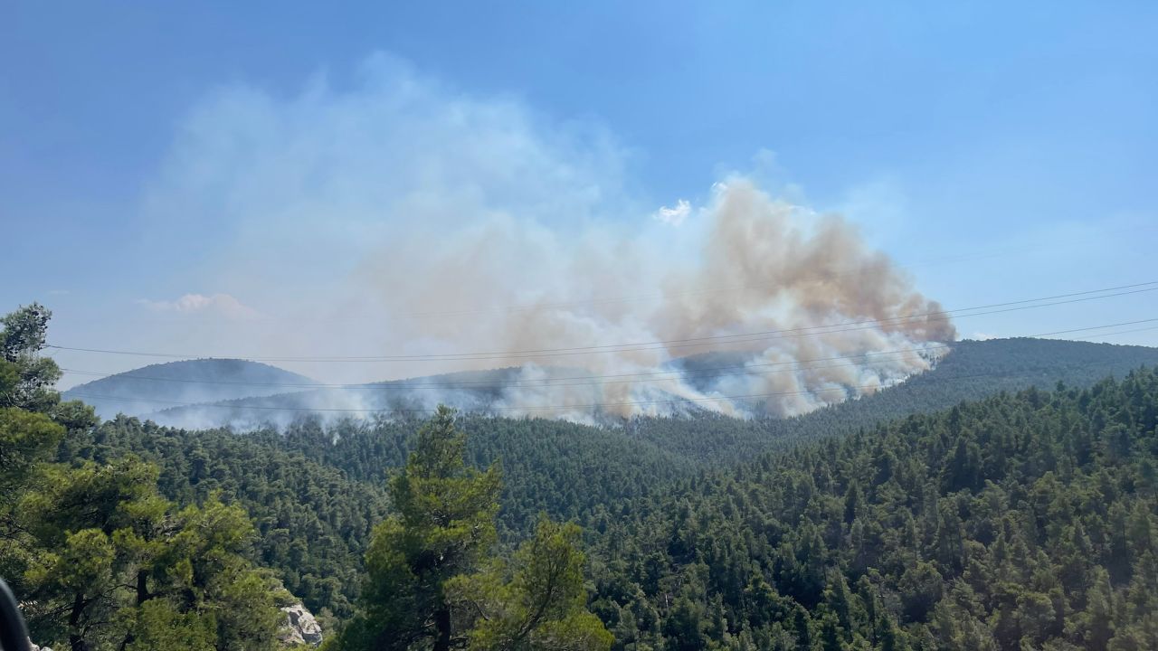 The national park, known as the "lungs of Athens" is now home to a battle to repel wildfires.