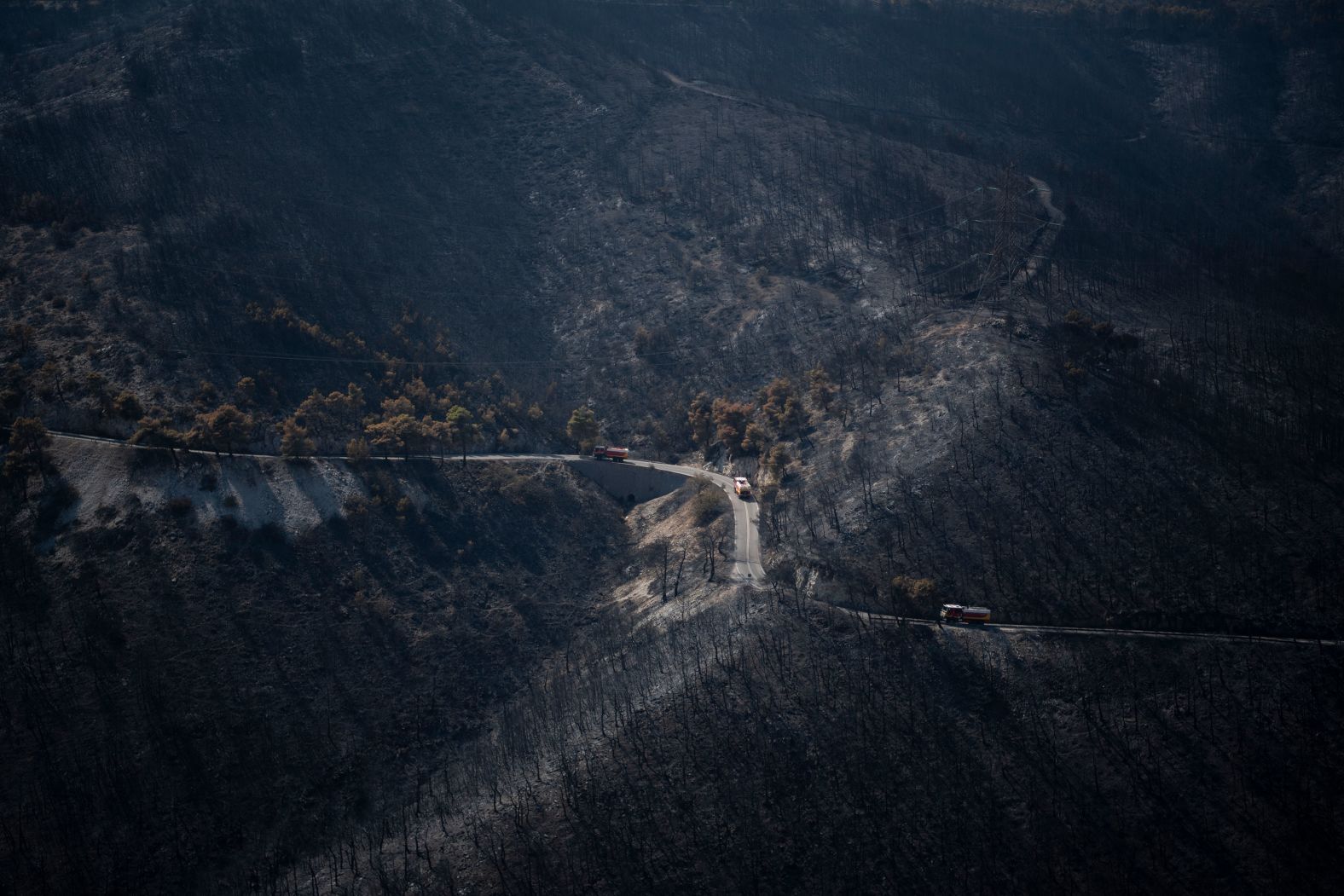 Firetrucks travel through a burned forest near Fyli on Friday, August 25.