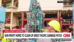 exp pacific garbage patch dubois intv 082812A SEG2 cnni world_00002001.png